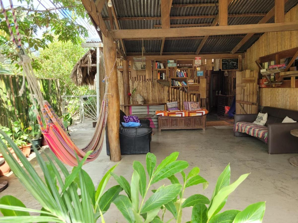 Puerto Viejo de Talamanca Roots Familyホステル エクステリア 写真