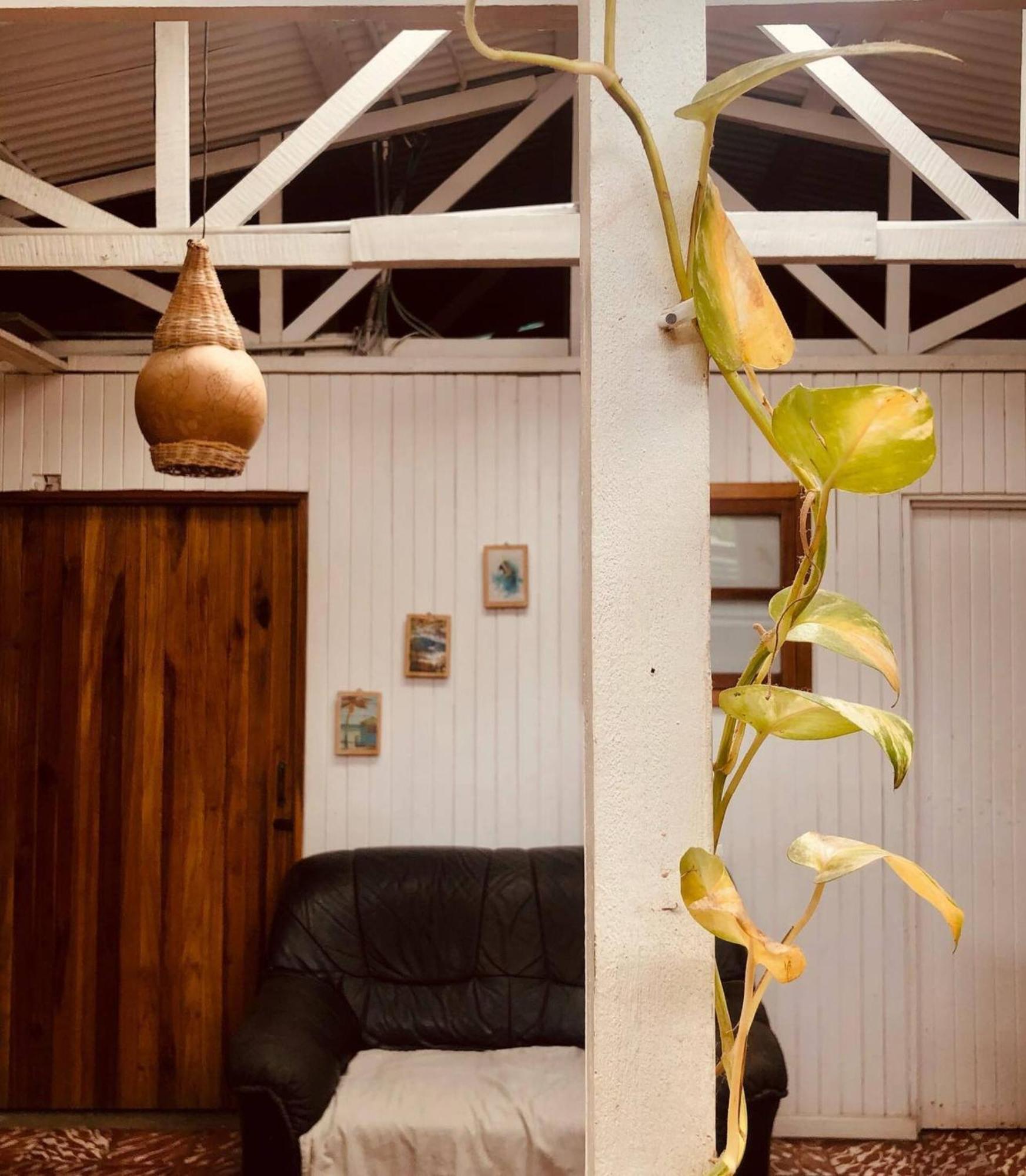 Puerto Viejo de Talamanca Roots Familyホステル エクステリア 写真