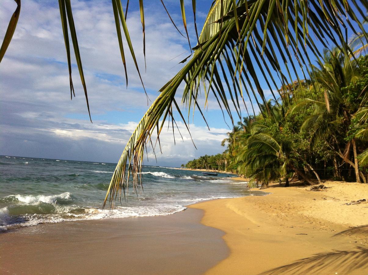 Puerto Viejo de Talamanca Roots Familyホステル エクステリア 写真